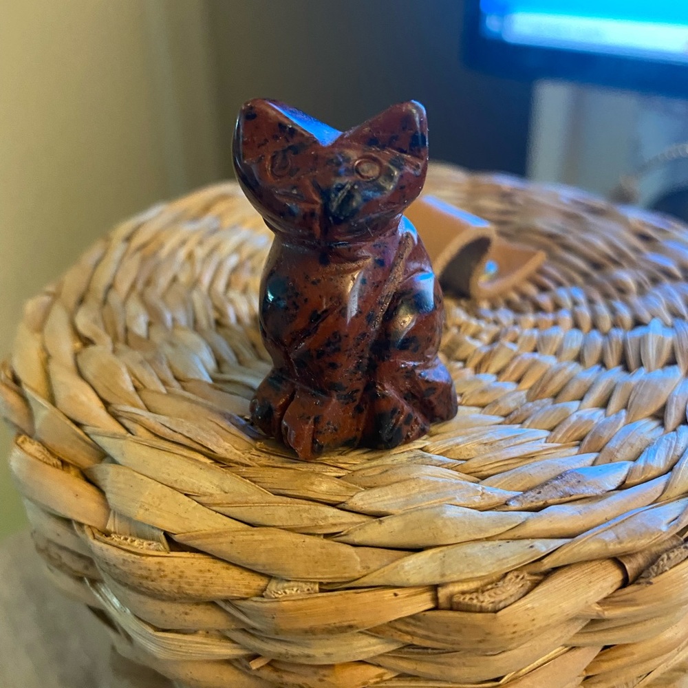 Mahogany cat